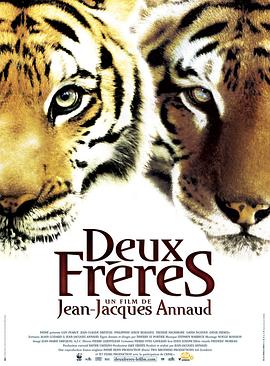 虎兄虎弟Deuxfr&egrave;res[电影解说]