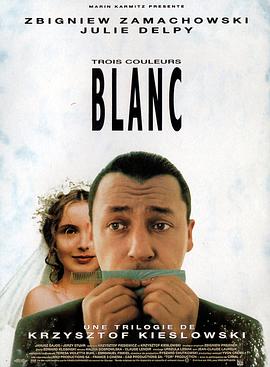 蓝白红三部曲之白TroiscouleursBlanc[电影解说]