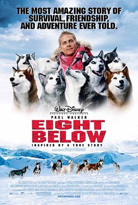 南极大冒险EightBelow[电影解说]