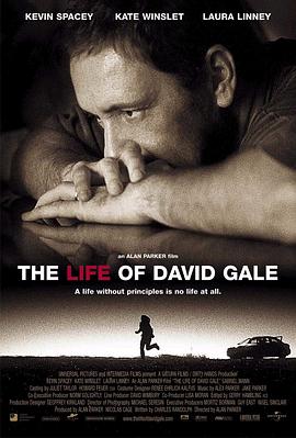 大卫&middot;戈尔的一生TheLifeofDavidGale[电影解说]