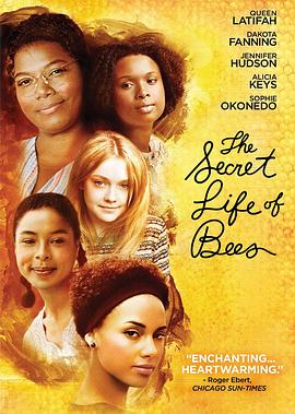 蜜蜂的秘密生活TheSecretLifeofBees[电影解说]