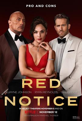 红色通缉令RedNotice[电影解说]