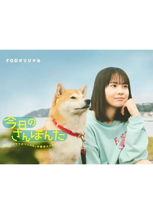 今日份的散步