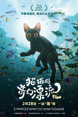 猫猫的奇幻漂流[电影解说]