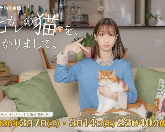 我收留了前男友的猫