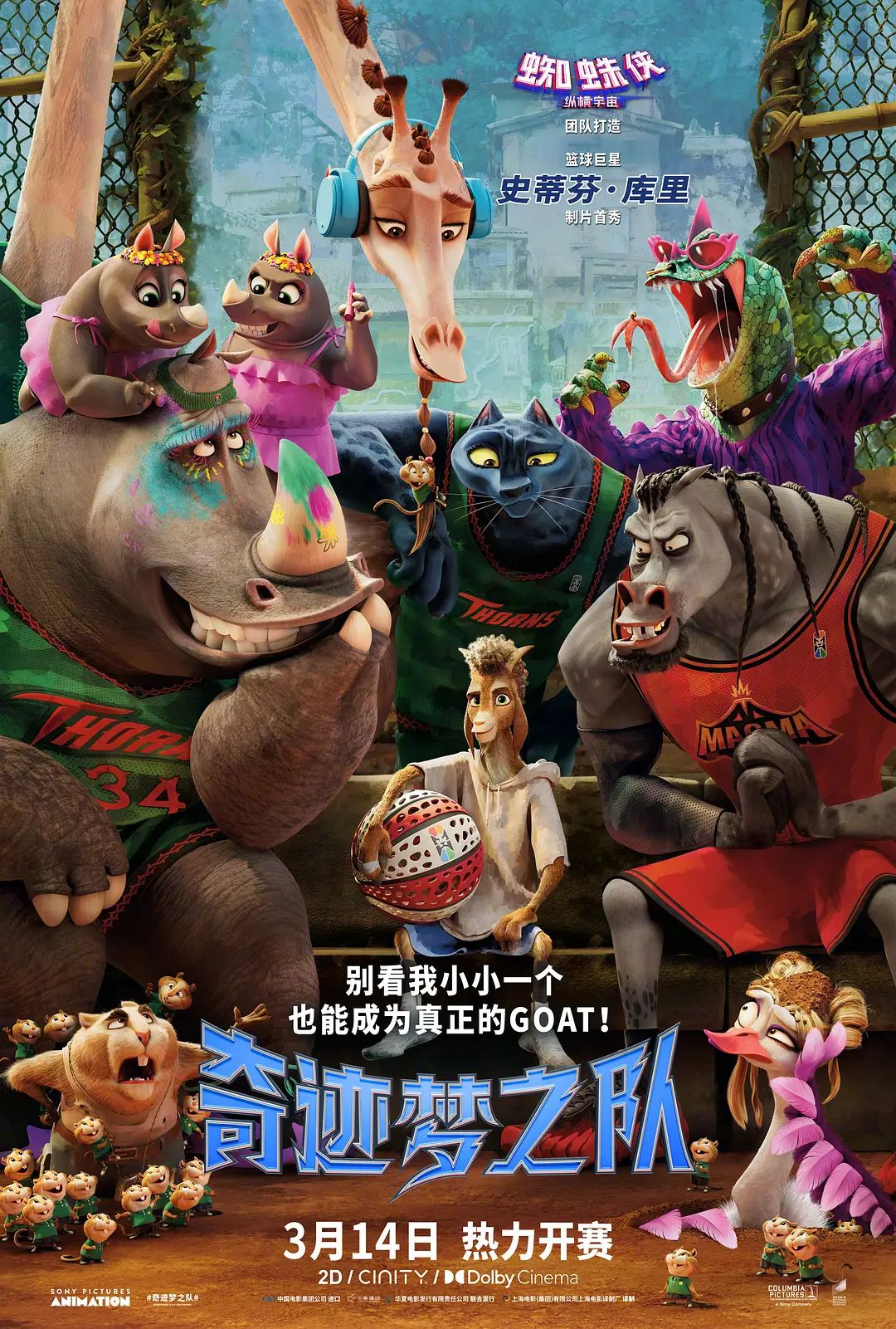 奇迹梦之队